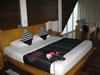 My Gallery: Image