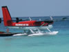 My Gallery: Image